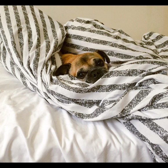 Fast shipping usually same day. Make offers - Picture 1 of 2